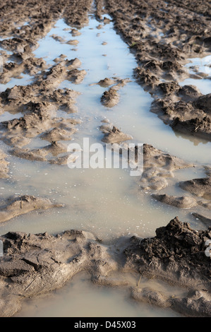 Gepflügte Land zeigen extreme Staunässe. Yorkshire, Vereinigtes Königreich. Stockfoto