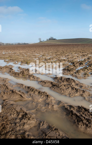 Gepflügte Land zeigen extreme Staunässe. Yorkshire, Vereinigtes Königreich. Stockfoto