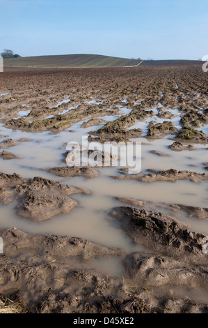 Gepflügte Land zeigen extreme Staunässe. Yorkshire, Vereinigtes Königreich. Stockfoto