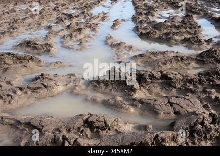 Gepflügte Land zeigen extreme Staunässe. Yorkshire, Vereinigtes Königreich. Stockfoto