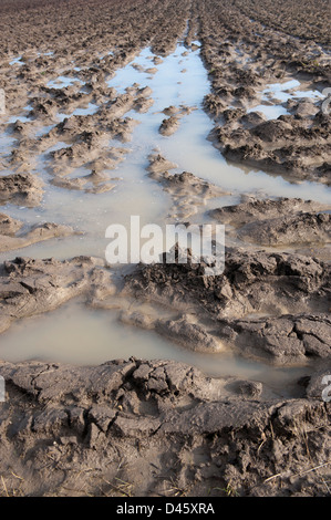 Gepflügte Land zeigen extreme Staunässe. Yorkshire, Vereinigtes Königreich. Stockfoto