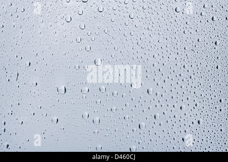 Wassertropfen auf Glas Closeup. Kann als Hintergrund verwendet werden. Stockfoto