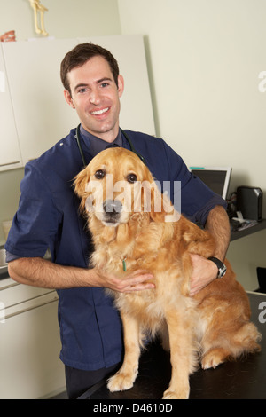 Männliche Tierarzt Holding Dog In der Chirurgie Stockfoto