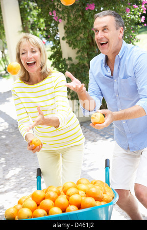 Ältere Mann schob Schubkarre gefüllt mit Orangen Stockfoto