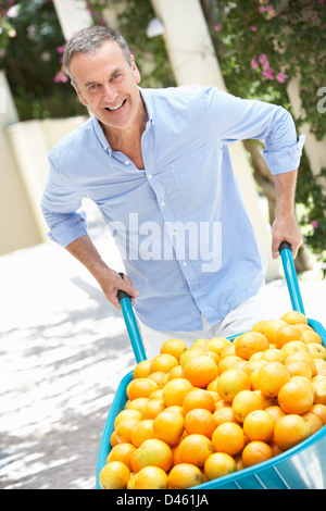 Ältere Frau schob Schubkarre gefüllt mit Orangen Stockfoto