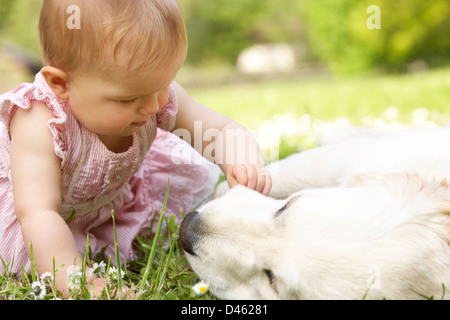 Babymädchen im Sommerkleid sitzen im Bereich Petting Familienhund Stockfoto