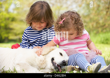 Zwei Kinder streicheln Familienhund In Sommerwiese Stockfoto