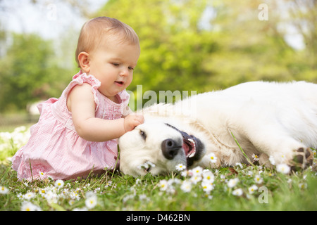 Babymädchen im Sommerkleid sitzen im Bereich Petting Familienhund Stockfoto