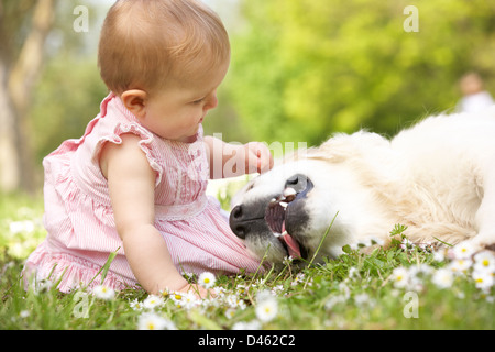 Babymädchen im Sommerkleid sitzen im Bereich Petting Familienhund Stockfoto