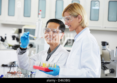 Männliche und weibliche Wissenschaftler arbeiten im Labor Stockfoto