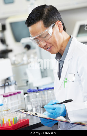 Männliche Wissenschaftler arbeiten im Labor Stockfoto
