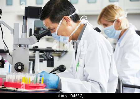 Männliche und weibliche Wissenschaftler Mikroskopie im Labor Stockfoto