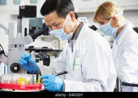 Männliche und weibliche Wissenschaftler Mikroskopie im Labor Stockfoto