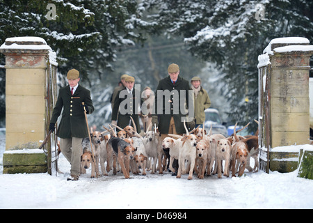 Die Beaufort-Jagd trainieren ihre Hunde im Badminton-Park, wo sie nicht in der Lage waren, durch den Schnee - jagen, Jäger Tony vorangehen Stockfoto