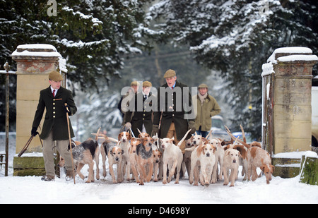 Die Beaufort-Jagd trainieren ihre Hunde im Badminton-Park, wo sie nicht in der Lage waren, durch den Schnee - jagen, Jäger Tony vorangehen Stockfoto