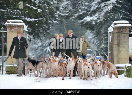 Die Beaufort-Jagd trainieren ihre Hunde im Badminton-Park, wo sie nicht in der Lage waren, durch den Schnee - jagen, Jäger Tony vorangehen Stockfoto