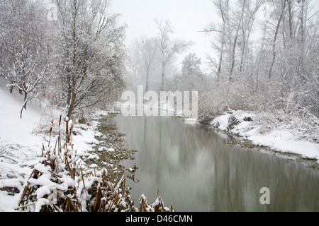 Kleine Donau Fluß im Winter - West-Slowakei Stockfoto