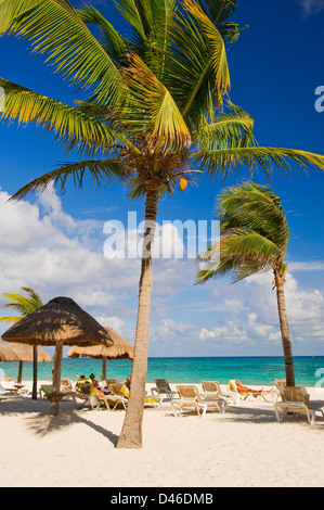 Am Strand in Mahekal Resort in Playa del Carmen Stockfoto