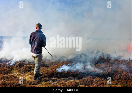 Heather angezündet, neues Wachstum zu beleben. Eine Strategie von Moorland Management in den North York Moors beschäftigt. Stockfoto