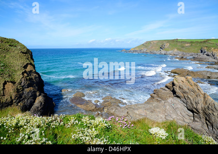 Dollar-Bucht, Gunwalloe in der Nähe von Helston in Cornwall, Großbritannien Stockfoto