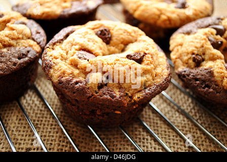 Chocolate Chip Cookie Teig Muffins Kühlung Stockfoto