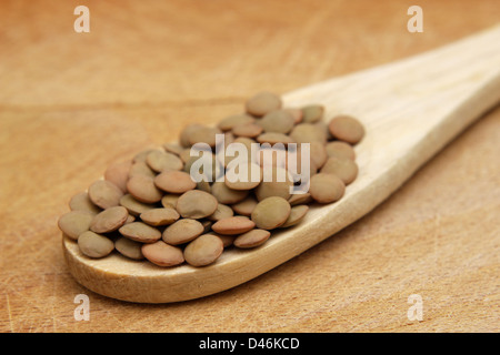 Linsen auf Holzlöffel Stockfoto