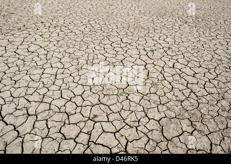 Chemische cracken Lehmboden See bed Muster. Andhra Pradesh, Indien Stockfoto