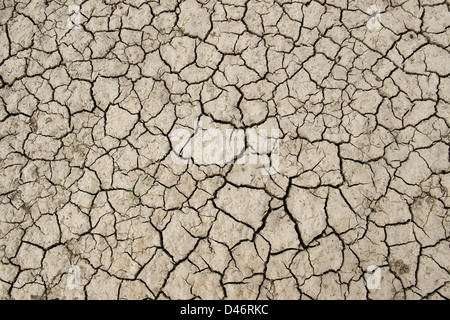 Chemische cracken Lehmboden See bed Muster. Andhra Pradesh, Indien Stockfoto