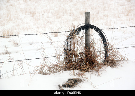 Ein Land Winter-Szene von einem Stacheldrahtzaun mit einer Spule extra Draht hängen von einem Post. Stockfoto