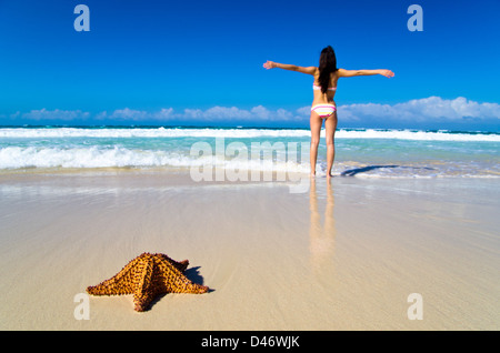 Roter Seestern auf sonnigen tropischen Strand Stockfoto