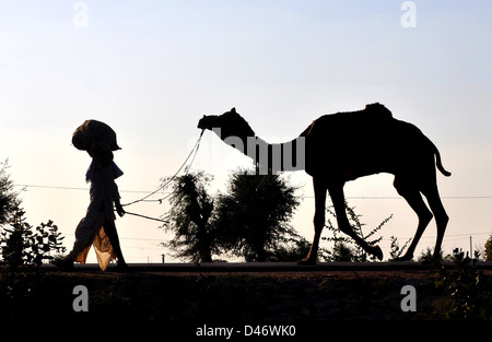 Ein Käufer führt sein Kamel zurück nach Hause von Nagaur Viehmarkt im westlichen indischen Rajasthan Zustand Stockfoto