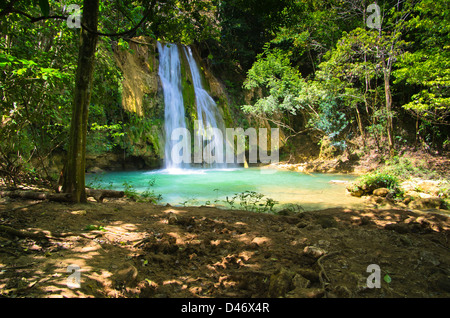 waterfall in deep green forest Stockfoto