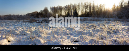 Panoramablick auf Schnee und Frost bedeckt Wiese am Waldrand in der Nähe von Mragowo, Polen Stockfoto