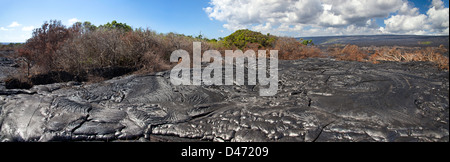 Ein neuer Pahoehoe-Lavastrom von Kilauea brennt einen Wald durch einen älteren Pahoehoe-Fluss, Big Island, Hawaii bereits isoliert. Stockfoto