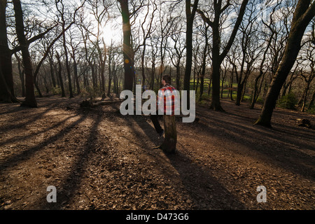 Mann in ein Rot kariertes Hemd mit dem Rücken zu uns sitzt auf einem Baumstumpf mit der Sonne hinter den Bäumen lange Schatten erstellen Stockfoto