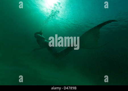 Eine Meerjungfrau Schwimmen durch trübe Wasser, auf den Bahamas. Stockfoto