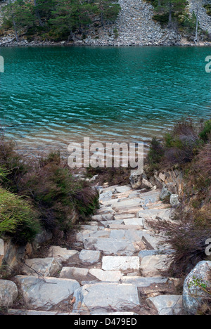 Lochan Uaine, das Grün Loch in Glenmore Forest, in die Cairngorms National Park, in der Nähe von Aviemore, Inverness-Shire. Stockfoto