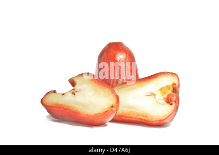 Rose-Äpfel oder Chomphu auf weißem Hintergrund Stockfoto