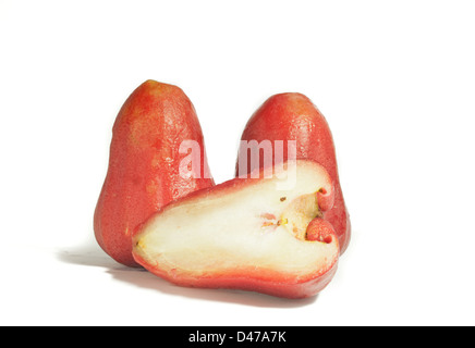 Rose-Äpfel oder Chomphu auf weißem Hintergrund Stockfoto