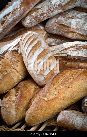 Eine Anzeige von mehreren Arten von Brot (Frankreich). -Typen Brote Vorstellung de différent de Schmerzen. Stockfoto