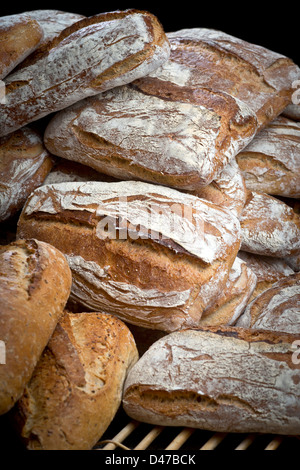 Eine Anzeige von mehreren Arten von Brot (Frankreich). -Typen Brote Vorstellung de différent de Schmerzen. Stockfoto