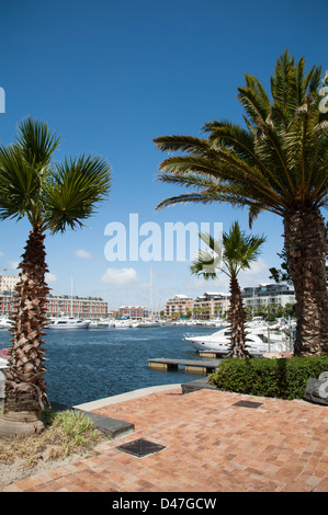 Luxus-Appartements gesetzt um den inner Harbour an der Entwicklung der V & A Waterfront in Kapstadt Südafrika Stockfoto