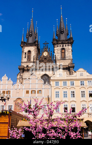 Teynkirche mit Ostern Baum im Vordergrund bei Old Town Sq Prague, Czech Republic Stockfoto