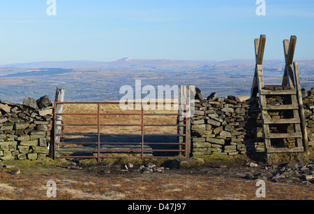 Holzleiter Stile & Tor in Mauer auf Pendle Hügel mit Blick auf Ingleborough der Yorkshire Dales National Park Stockfoto