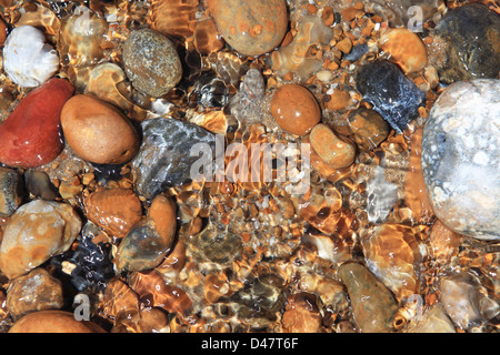 Kieselsteine am Strand von Hythe, in der Nähe von Folkestone, Kent, England, UK Stockfoto