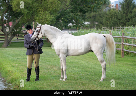 Pferd und Frau gekleidet in Englisch Reiten Kleidung im Freien auf der Wiese. Stockfoto