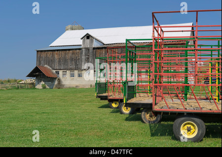 Heu-Wagen in einer Reihe, mit einer Scheune im Hintergrund, bei hellem Sonnenlicht im Sommer, Landwirtschaft in Pennsylvania, PA, USA. Stockfoto