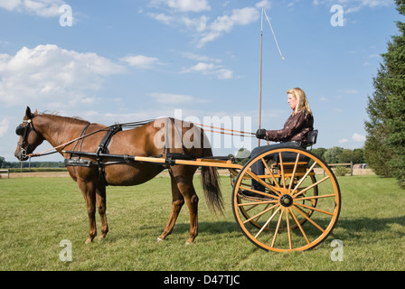 Autofahrerin eine hölzerne Pferdewagen mit Peitsche in der hand, Seitenansicht, gestoppt. Stockfoto