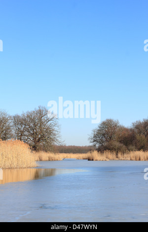 Zugefrorenen See in den Auen der Elbe in Sachsen-Anhalt / Deutschland, im Spätwinter Stockfoto