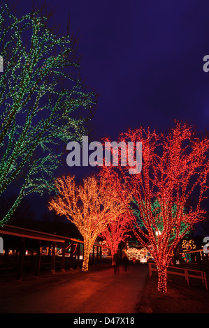 Bäume geschmückt mit Weihnachtsbeleuchtung für den Urlaub, in der Nacht, entlang einer Straße in einer amerikanischen Kleinstadt, eine Silhouette eines Paares im Hintergrund. Stockfoto